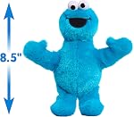 Sesame Street Friends 8-inch Cookie Monster Sustainable Plush Stuffed Animal