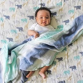 aden + anais Silky Soft Swaddle Blanket, Boutique Muslin Blankets for Girls & Boys, Baby Receiving Swaddles, Ideal Newborn & Infant Swaddling Set, Perfect Shower Gifts, 3 Pack, Expedition