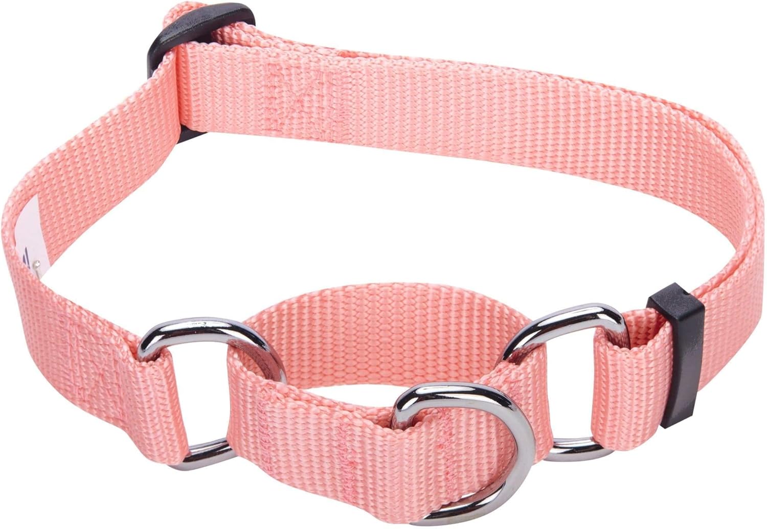 personalized martingale dog collars