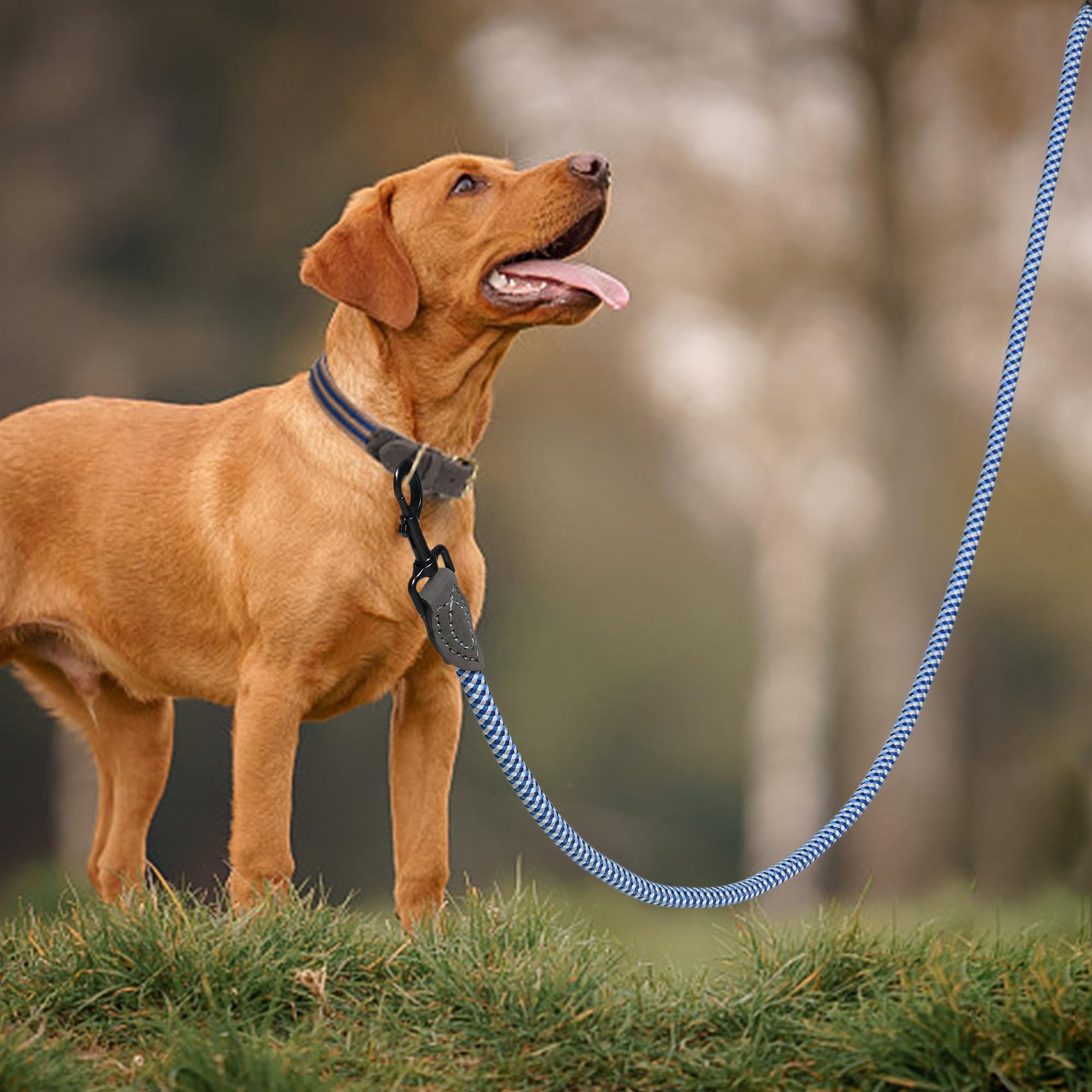 Mile High Life Rope Leash with Genuine Leather Connection, 6 FT/5 FT/4 FT - Image 2