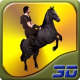 Arabian Horse Racing Adventure