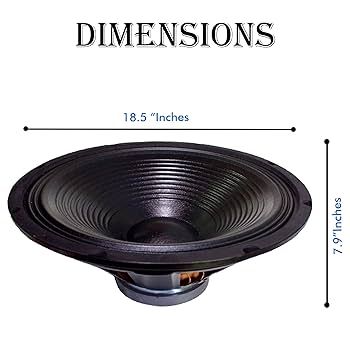 Amazon | Technical Pro wf18 18 Rawサブウーハーブラック