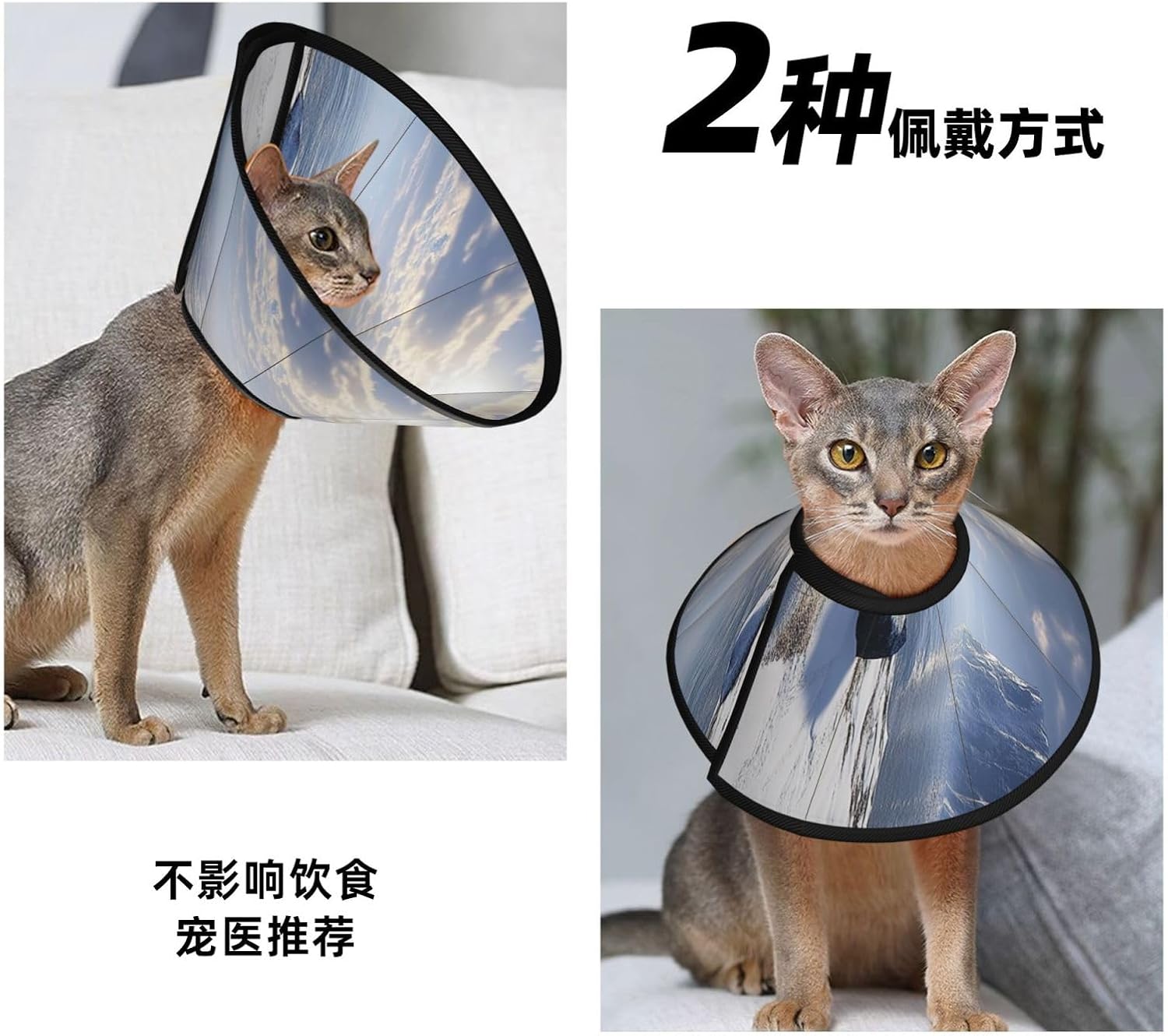 Custom Pet Cones - Unique Design Cat & Dog Cone, Collar for Post-Surgery Recovery, Adjustable Neck Snowysuncoast Large