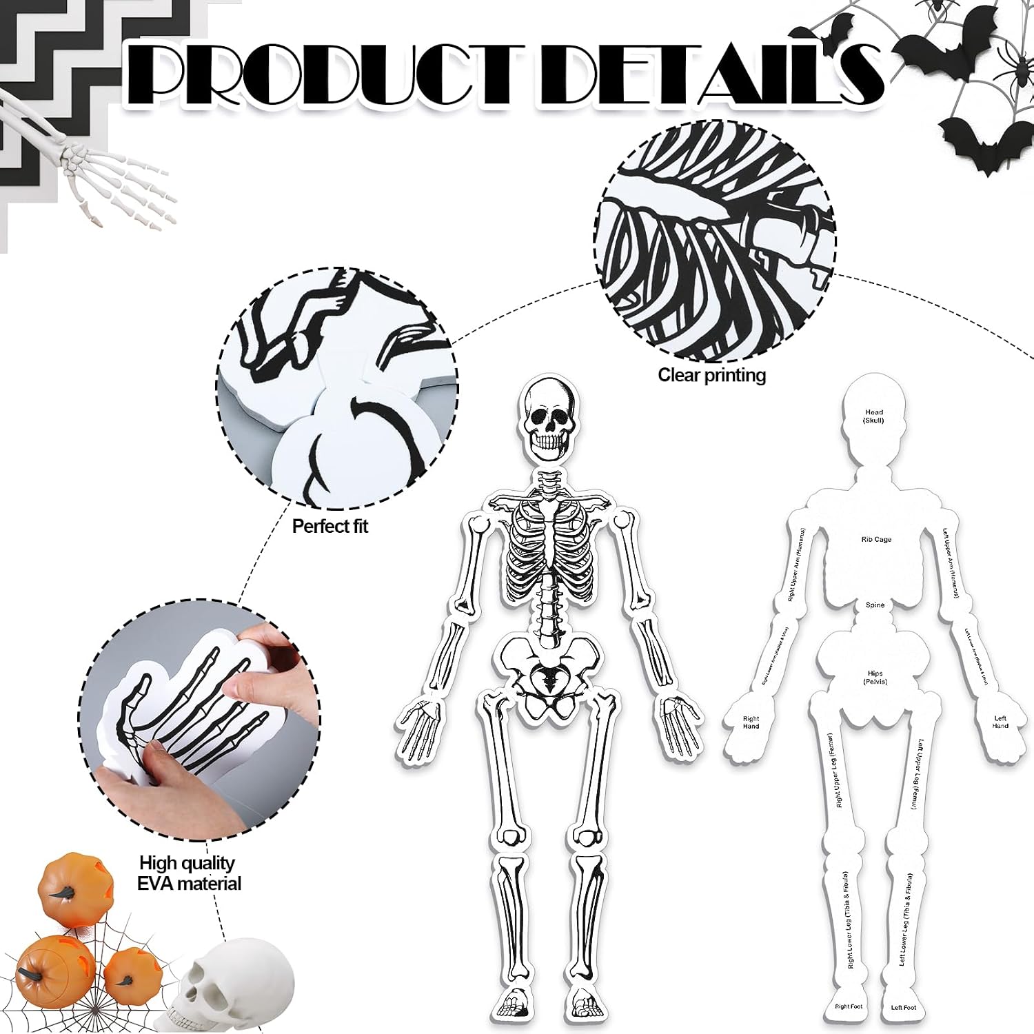 Silipull Skeleton Floor Puzzle Double Sided Human Body Puzzle 15 Pcs Human Anatomy Learning Toys Halloween Skeleton and Bones Anatomy Body Parts Model Educational Toy