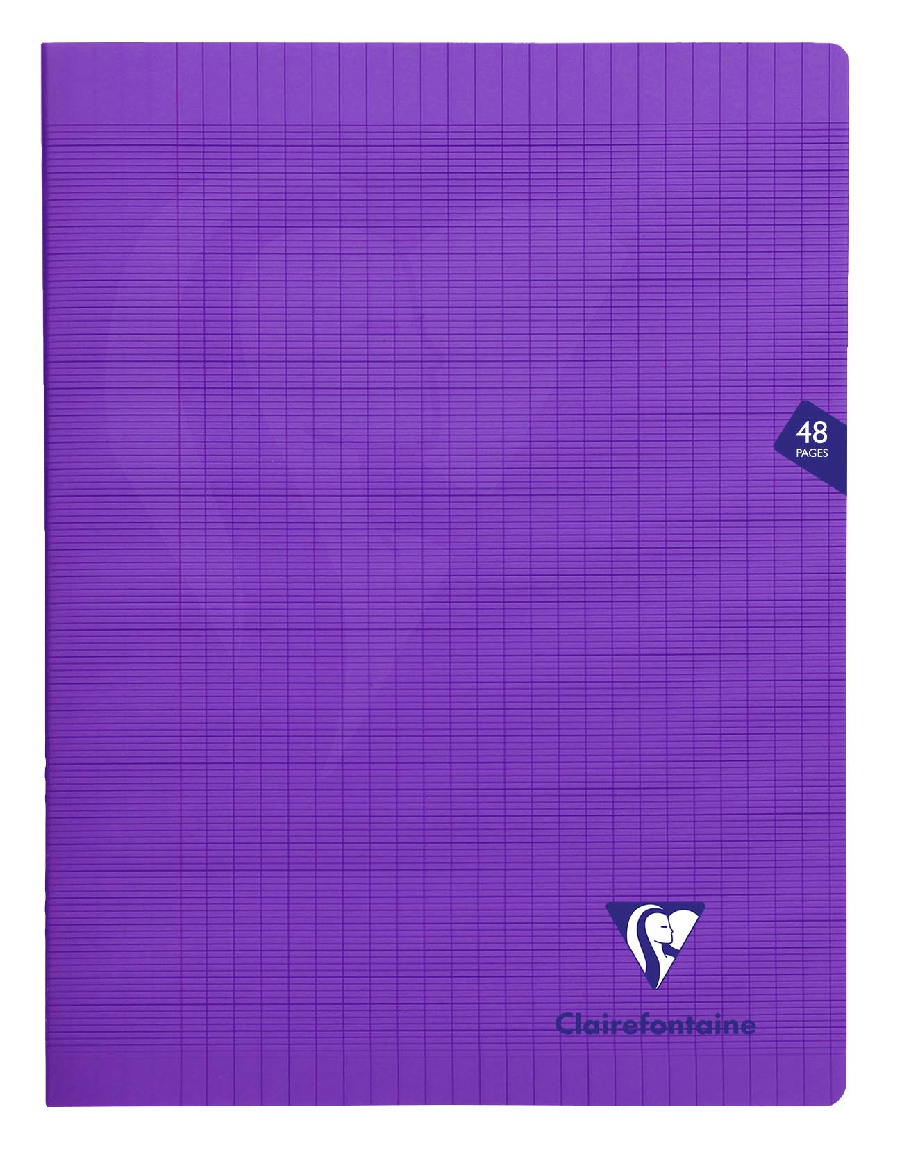 Clairefontaine 303311C Lot de 10 Cahiers Agrafés Mimesys - 24x32 cm - 48 Pages Grands Carreaux - Papier Blanc 90 g - Couverture Polypro Transparent - Couleurs Aléatoires
