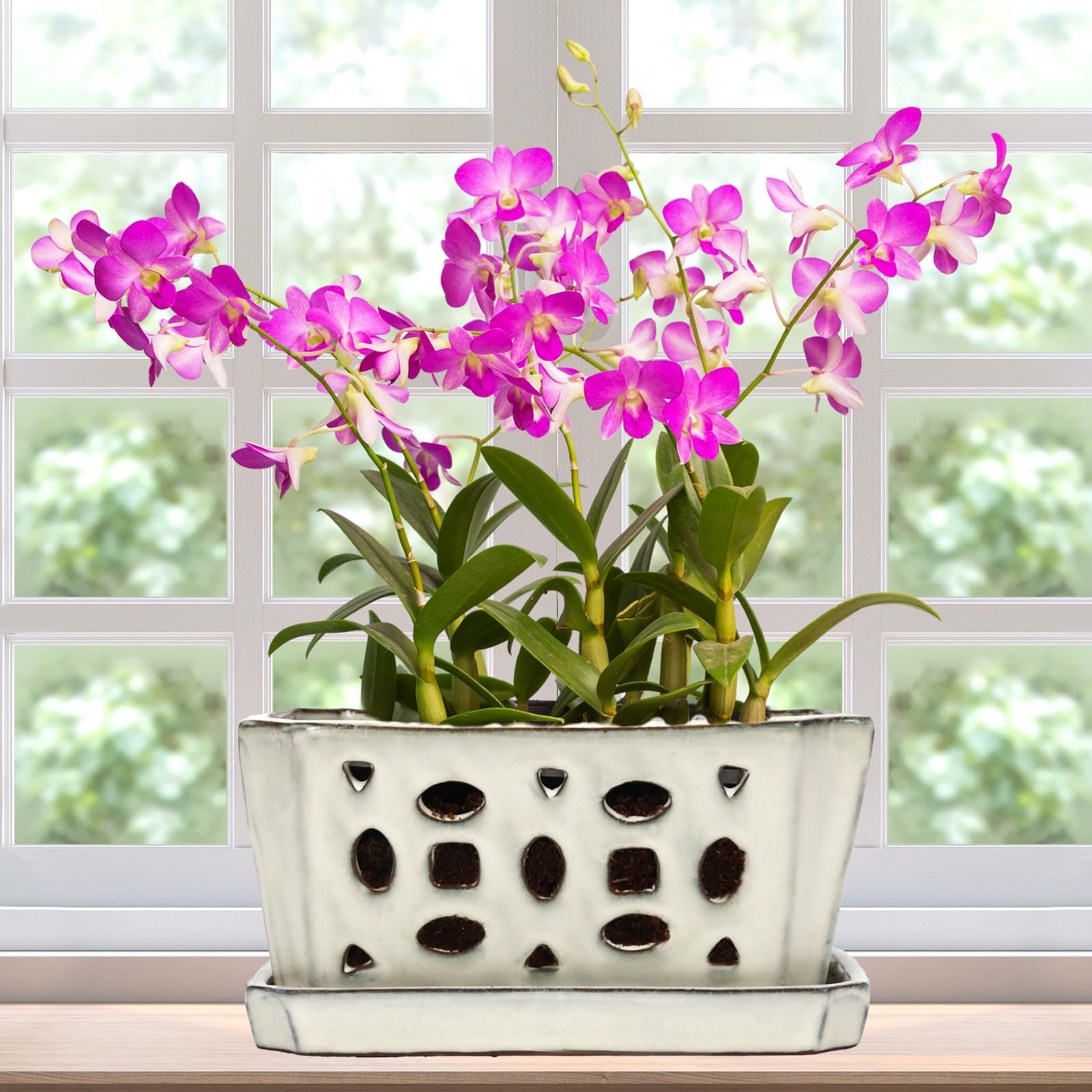 1 Set Orchid Pot with Holes 9.5 Inch Ceramic Orchid Pot with Saucers for Repotting Amaryllis Flower Planter Include Gardening Shovel Set and Gloves for Home Decor(White)