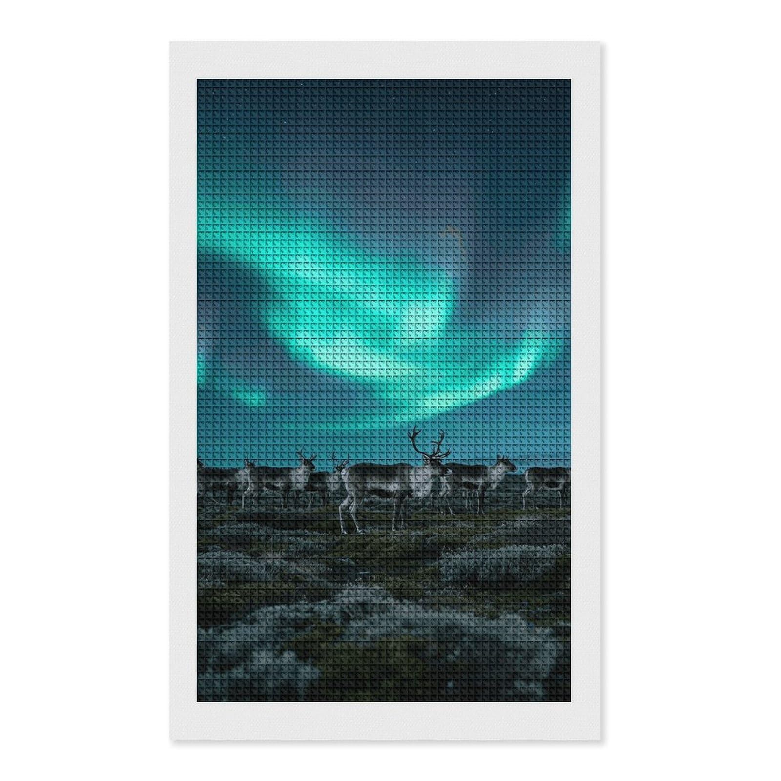 FodPand Reindeer_Aurora 5D Diamond Painting Kits for Adults Beginners Full Drill Square Diamond Dots Pictures Gem Art Supplies for Home Wall Room Decoration DIY Craft Set Gift 12X20