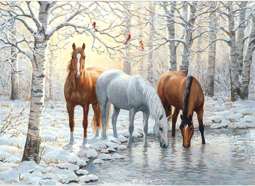5D Diamond DIY Painting by Number Kits, Diamond Arts Crystal Rhinestone Embroidery Paintings Pictures Canvas Craft 15.7 x 11.8 Inches Three Horses Drink in Winter by Bemaystar