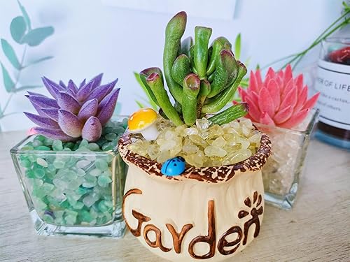 Vista 103 de ZHIYUXI Piedras de cristal de cornalina para pecera, grava, jarrón de relleno, cristales triturados, cristales curativos pulidos, piedra de cuarzo K