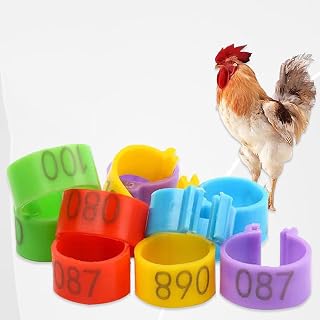 100PCS Chicken Leg Rings 16mm Numbered Identification Leg Clip Bands for Chicken, Pigeons, Lovebird, Quail, Goose, Turkey