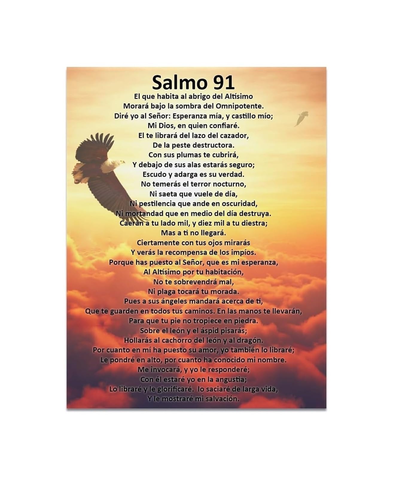 NWPNLXEA Spanish Christian Gift Salmo 91 Metal Sign Bible Verse Psalm 91 Wall-Art for Home Office Decor 8 X 12 in