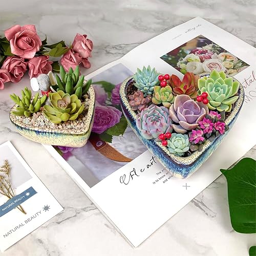 Miniatura 4 de Maceta de terracota esmaltada de 6.5 pulgadas y 4.5 pulgadas para suculentas, maceta grande con orificio de drenaje, maceta de cactus de cerámica