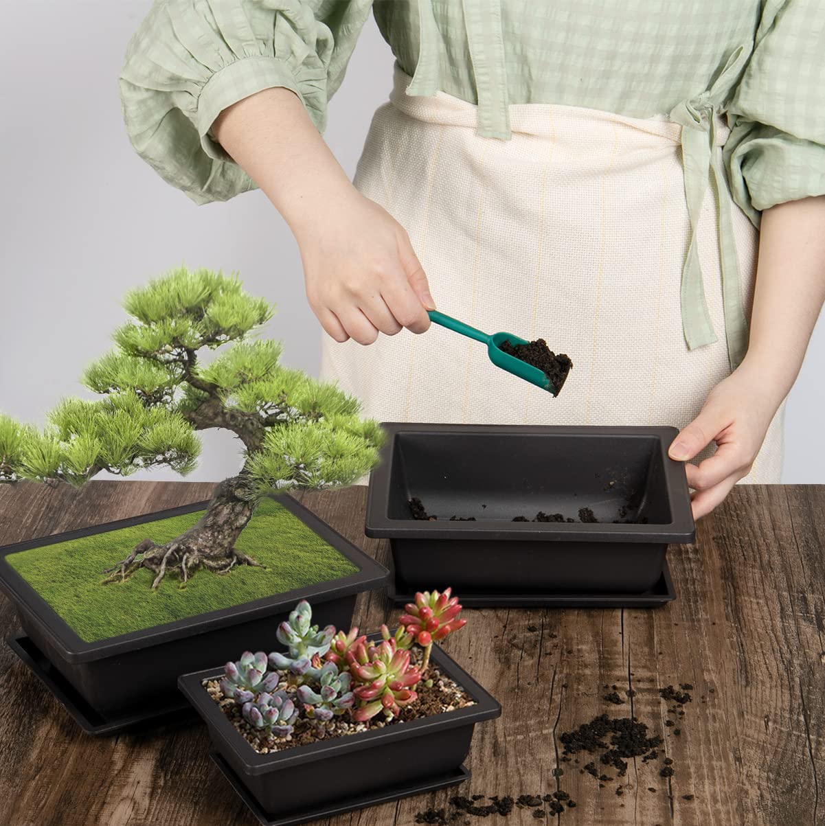 Set 6 Vasi Rettangolari Per Bonsai Con Sottovasi E Filo Alluminio 1,5-2-3 Mm - Plastica Resistente 23x17x8 Cm - Ideali Per Piante Grasse, Cactus, Bonsai Da Interno/Esterno - 2