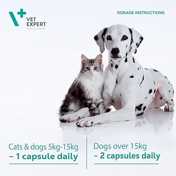 Vet Expert TriDigest Digestive Support for Dogs & Cats - Multi-Functional Formula for Stomach, Liver and Pancreas, 40 Tablets
