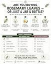 NeutraVed Rosemary Leaves Organic | Rosemary Dry Leaves for Hair Growth, Stronger Strands & Natural Hair Nourishment, Food Grade | Includes Mist Spray & Comb Cape | 100g gallery image