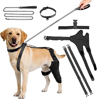 Dog Knee Brace for Back Leg, Adjustable Dog Leg Brace for Torn ACL Hind Leg Support, Joint Stability, Injury Recovery, Pain Relief, Dogs Rear Leg Wrap Harness Set with Collar and Leash
