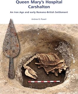 Queen Mary's Hospital, Charshalton: An Iron Age and Early Romano-British Settlement (Wessex Archaeology Occasional Paper)