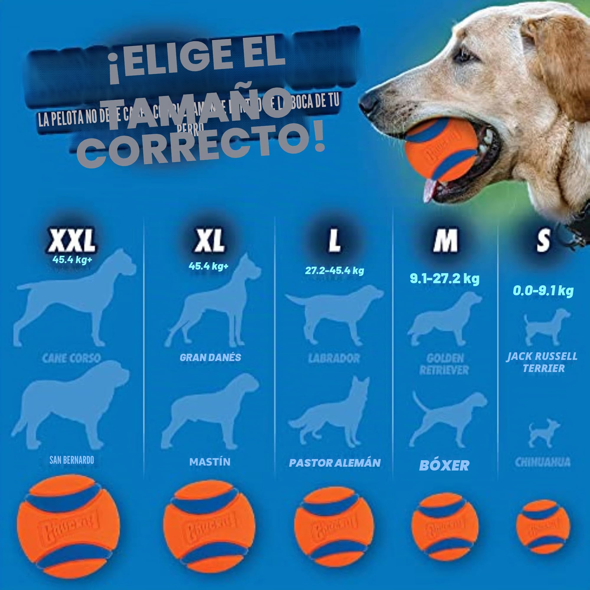 Chuckit! Ultra Ball - Juguete para Perros con Cubo de Limpieza Chuckit! – Juguetes para Mascotas Bouncy Fetch para Perros de 20 a 60 Libras – Flota en el Agua – Goma Duradera – Tamaño Mediano – 2.5