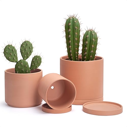 Miniatura 7 de D'vine Dev Macetas de terracota negra para plantas, 4.2 pulgadas, 5.3 pulgadas, 6.5 pulgadas, maceta para suculentas con drenaje y platillo, 40-T-A-2