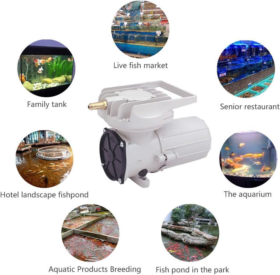DC 12V 120LPM/Min 1900GPH 60W Aquarium Air Pumps Aquaculture Fish Poods Pressure Compressor Aerator