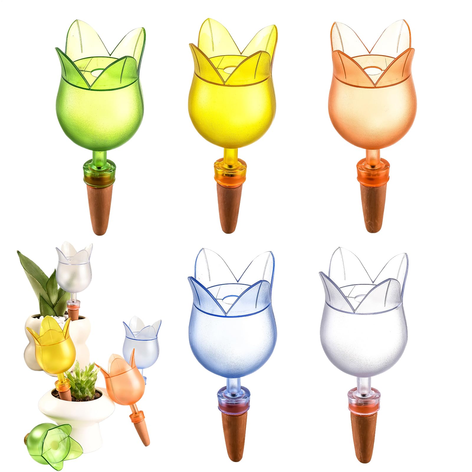 Piquets d'arrosage automatiques pour sublimer vos plantes de chambre