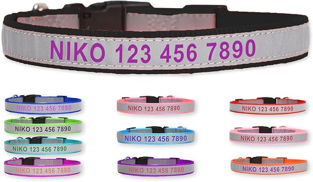 Reflective Personalized Nylon Dog Collar with Embroidered Name, Black