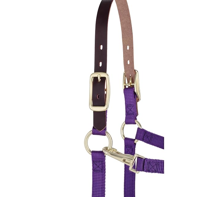 Foto 2 de 7 de Weaver Leather, cabestro ajustable original separable - 35-1022-PU, Weanling/Pony, Púrpura