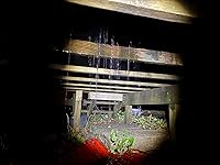 Review Image by Mike Donahue Mike Donahue