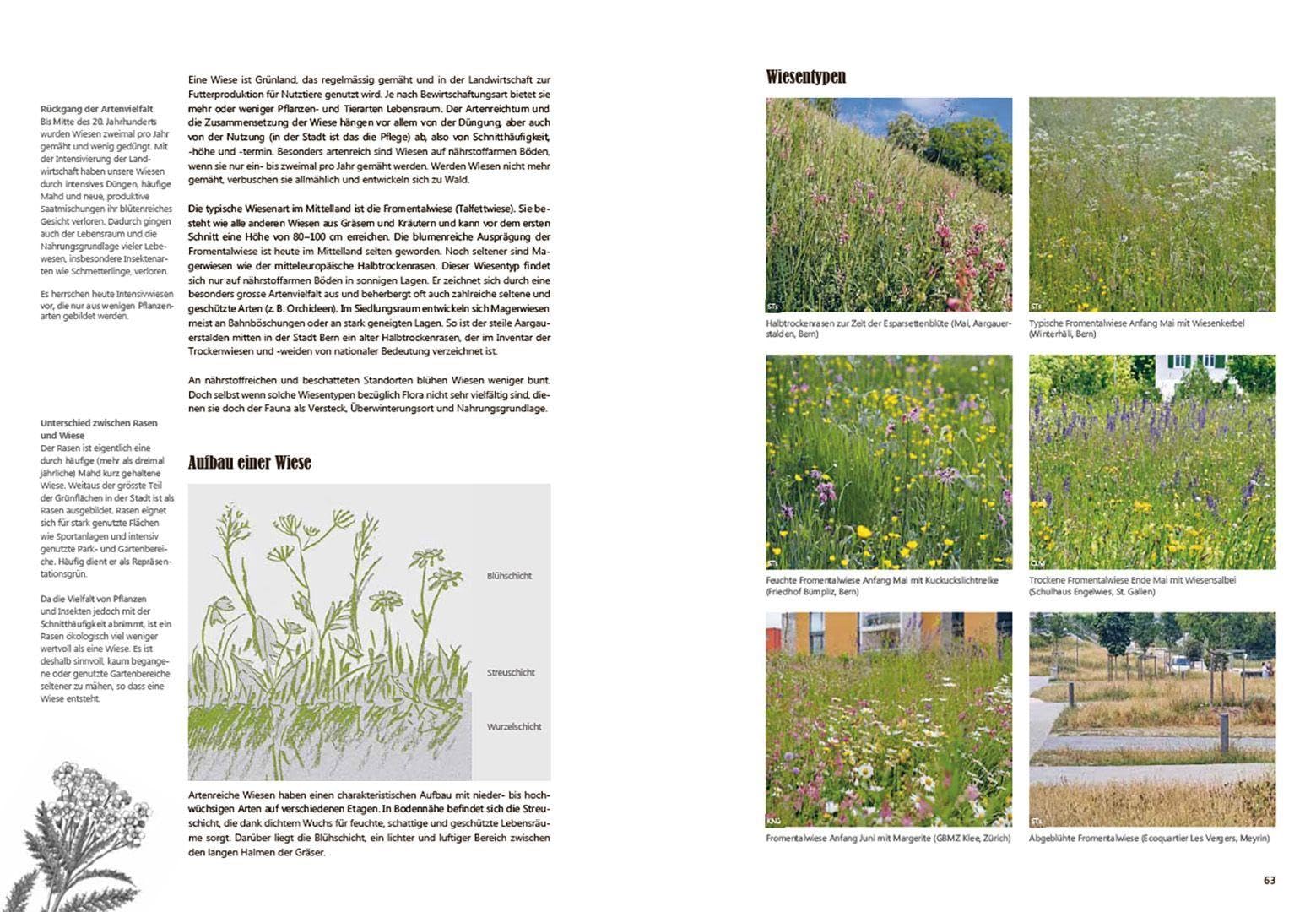 Praxishandbuch Stadtnatur: Biodiversität fördern im Schweizer Siedlungsraum