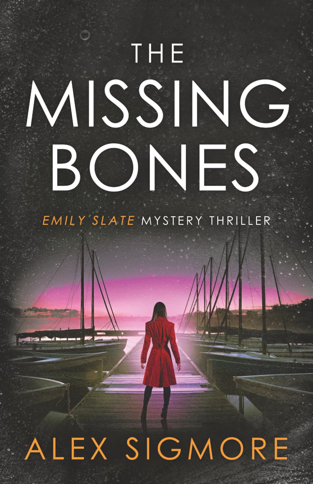 The Missing Bones: 14 (Emily Slate FBI Mystery Thriller)