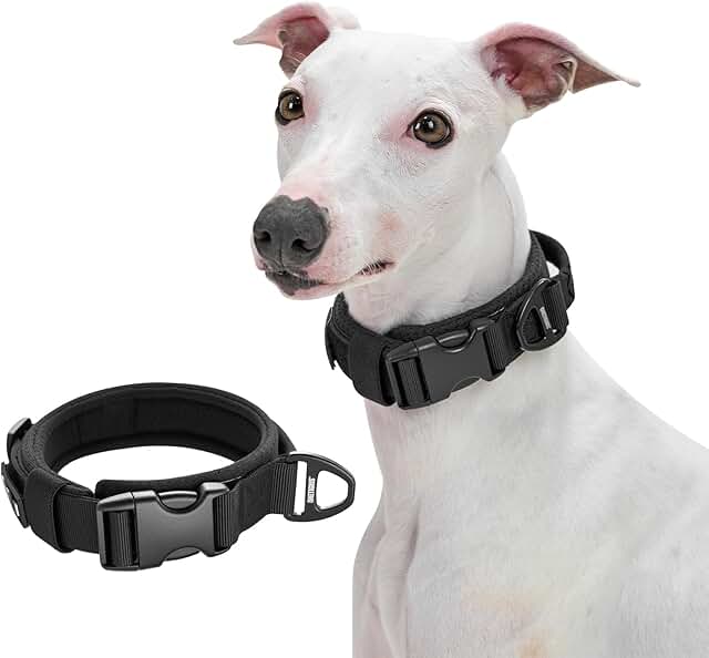 OneTigris Dog Collar, Specially for Small Dogs, Padded Soft Martingale Collar with Plastic Buckle and Aluminium Alloy Ring, Adjustable Collar with Handle, Black, S (30-40 cm) product image