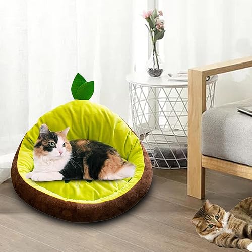 Miniatura 6 de KLKCMS Suministros de cojín portátil para cama de perro con nido de gato suministros de invierno y otoño perros pequeños y medianos kiwis