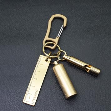 PPFISH 2PCS Solid Brass Heavy Duty Carabiner Keychain, EDC Quick Release Hooks with Brass Key Ring Set for Men Women