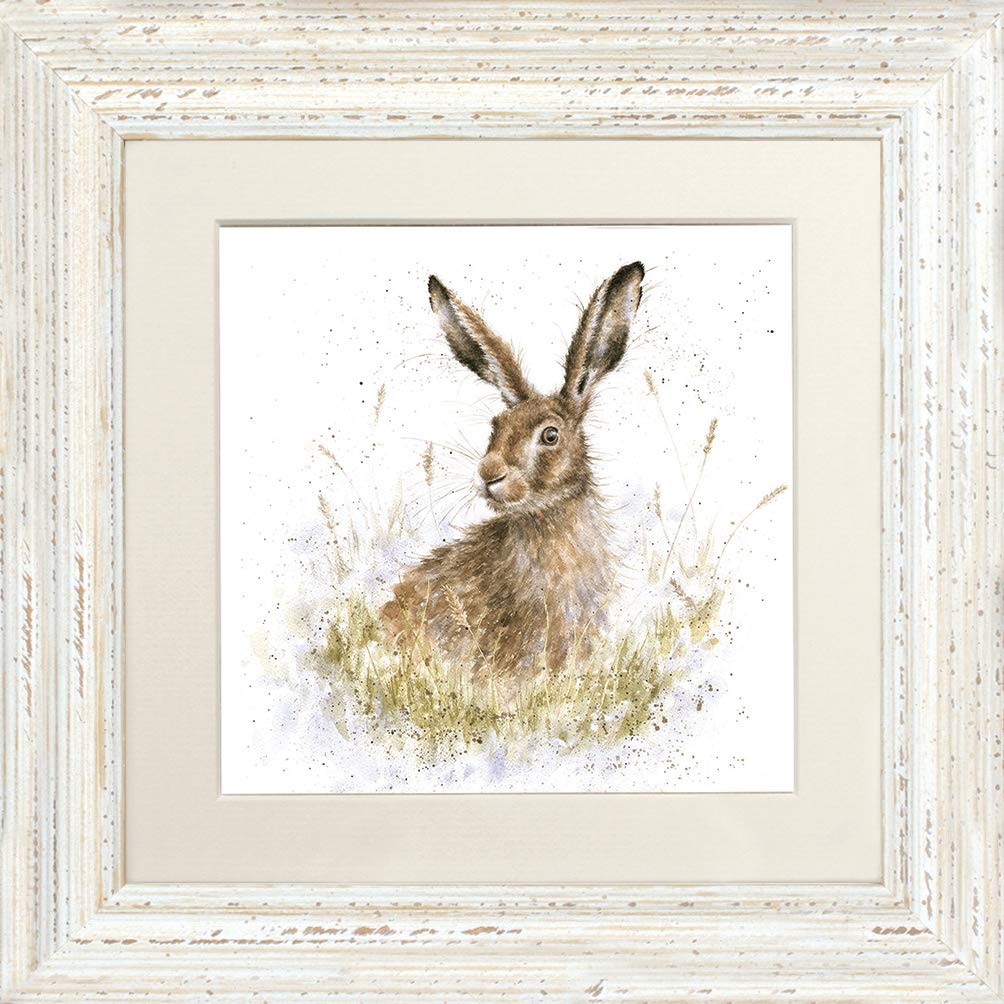 Wrendale Designs "Into The Wild " Rabbit Hare Framed Picture in Various Frame Colours (Distressed White)