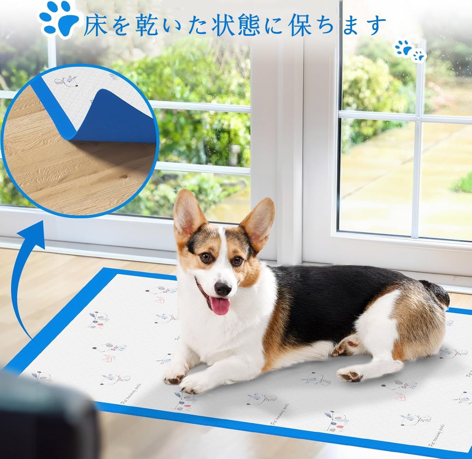 80 Pack High Absorbent Training Diapers - for Small Dogs, Quick Dry and Comfortable (Size: 45 x 33 cm), Blue