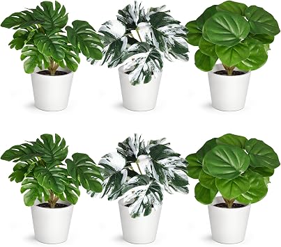 DomeStar 6 PCS Small Artificial Plants in Pots, Fake Greenery Monstera