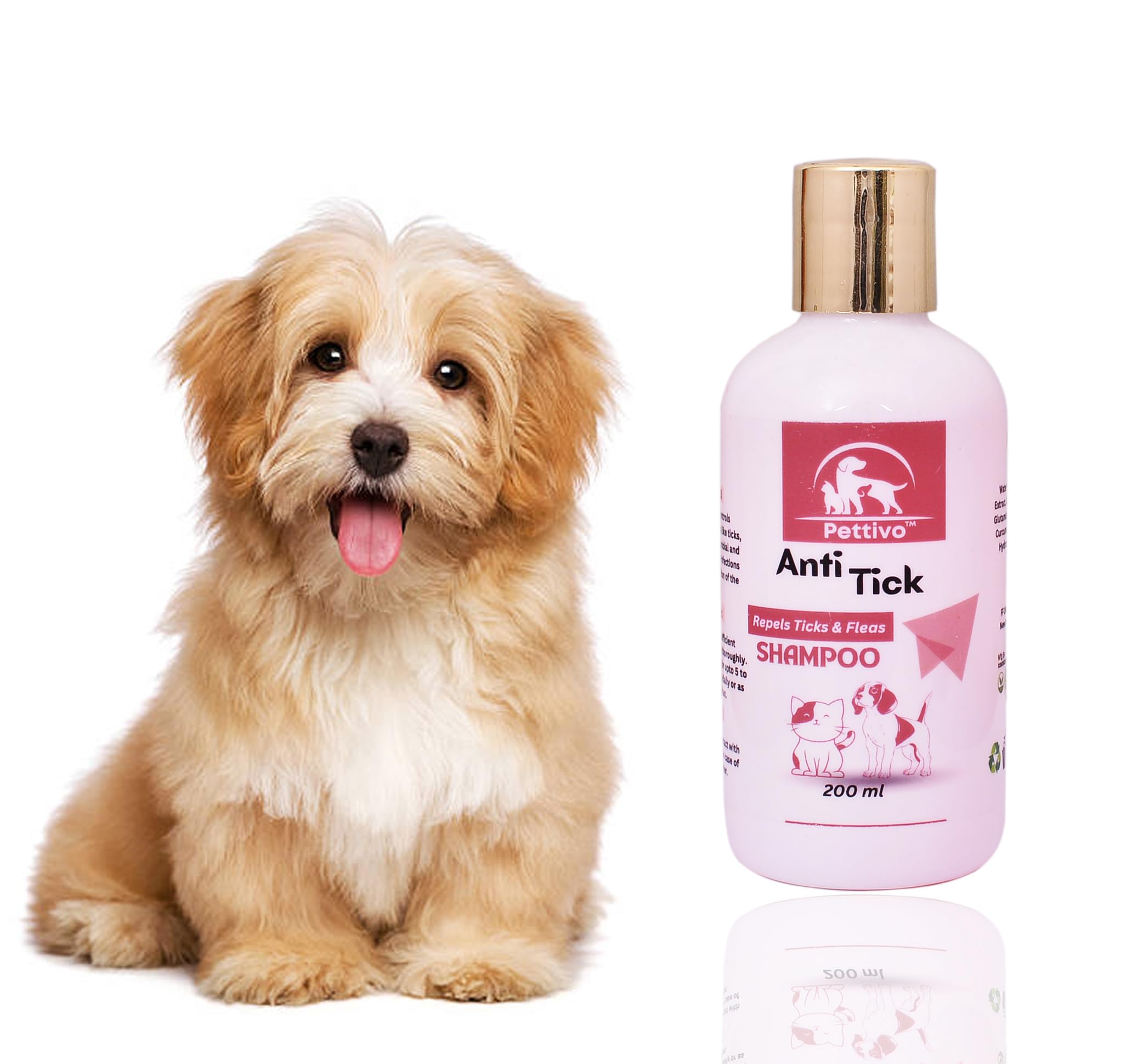 See full amazon price history chart for Anti-Tick Shampoo for Dogs and Cats | Hypoallergenic, No Harsh Chemicals, Natural Ingredients | Puppy Safe Shampoo | Suitable for All Breed | Herbal Pet Shampoo - 200ml Anti-Tick Shampoo for Dogs and Cats | Hypoallergenic, No Harsh Chemicals, Natural Ingredients | Puppy Safe Shampoo | Suitable for All Breed | Herbal Pet Shampoo - 200ml (B0D4HZWQV3) Amazon Price History, Amazon Price Tracker
