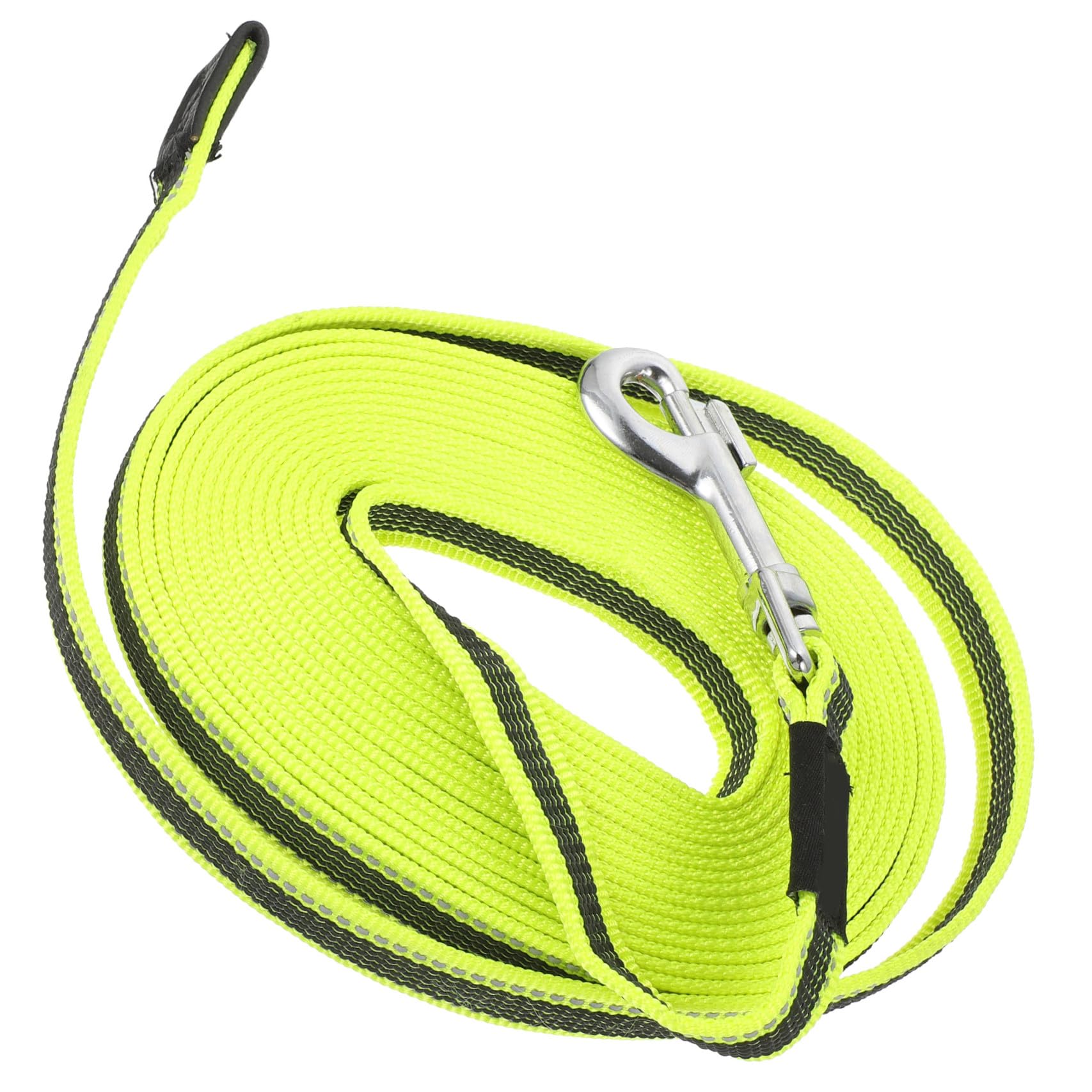 Laisse pour chien extérieur pour promenades sportives et marche en forêt