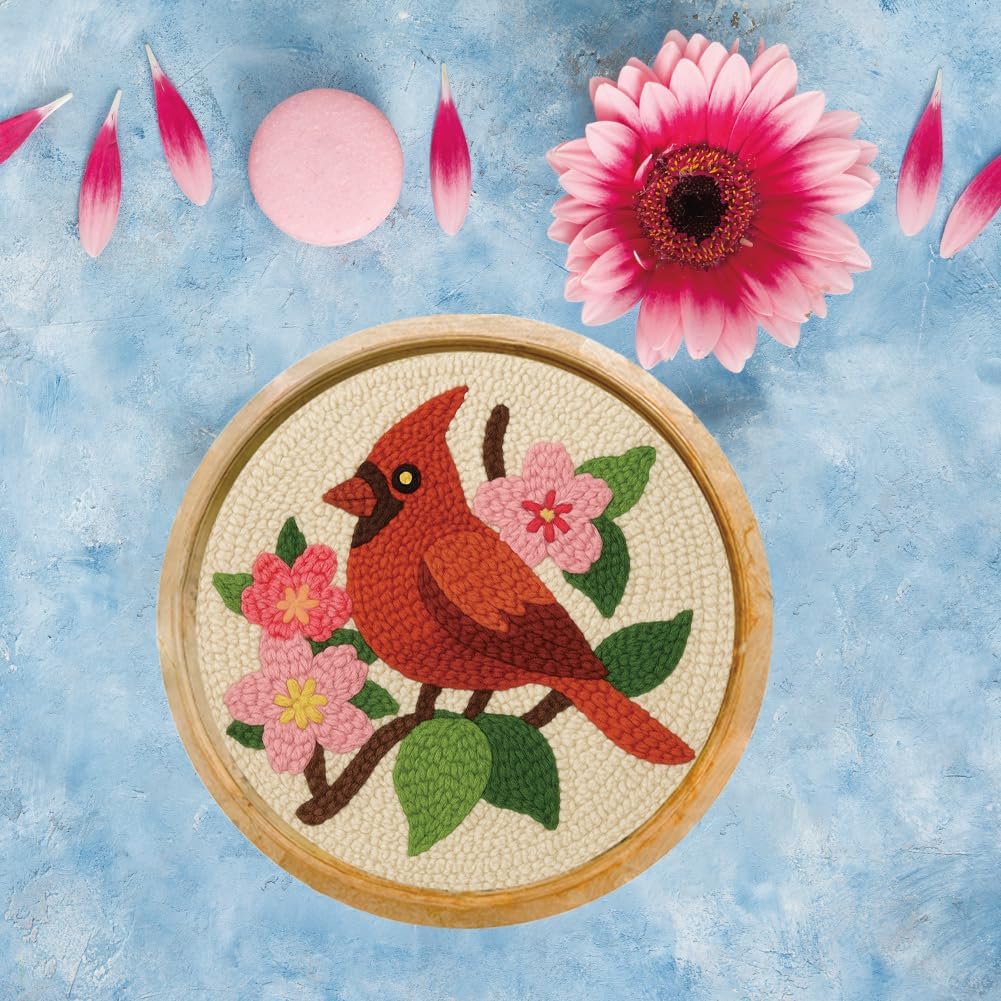 FREEBLOSS Bird Punch Needle Starter Kits DIY Punch Needle Craft Kit for Beginners with Complete Tools, Yarn, and Instructions, 7.9"