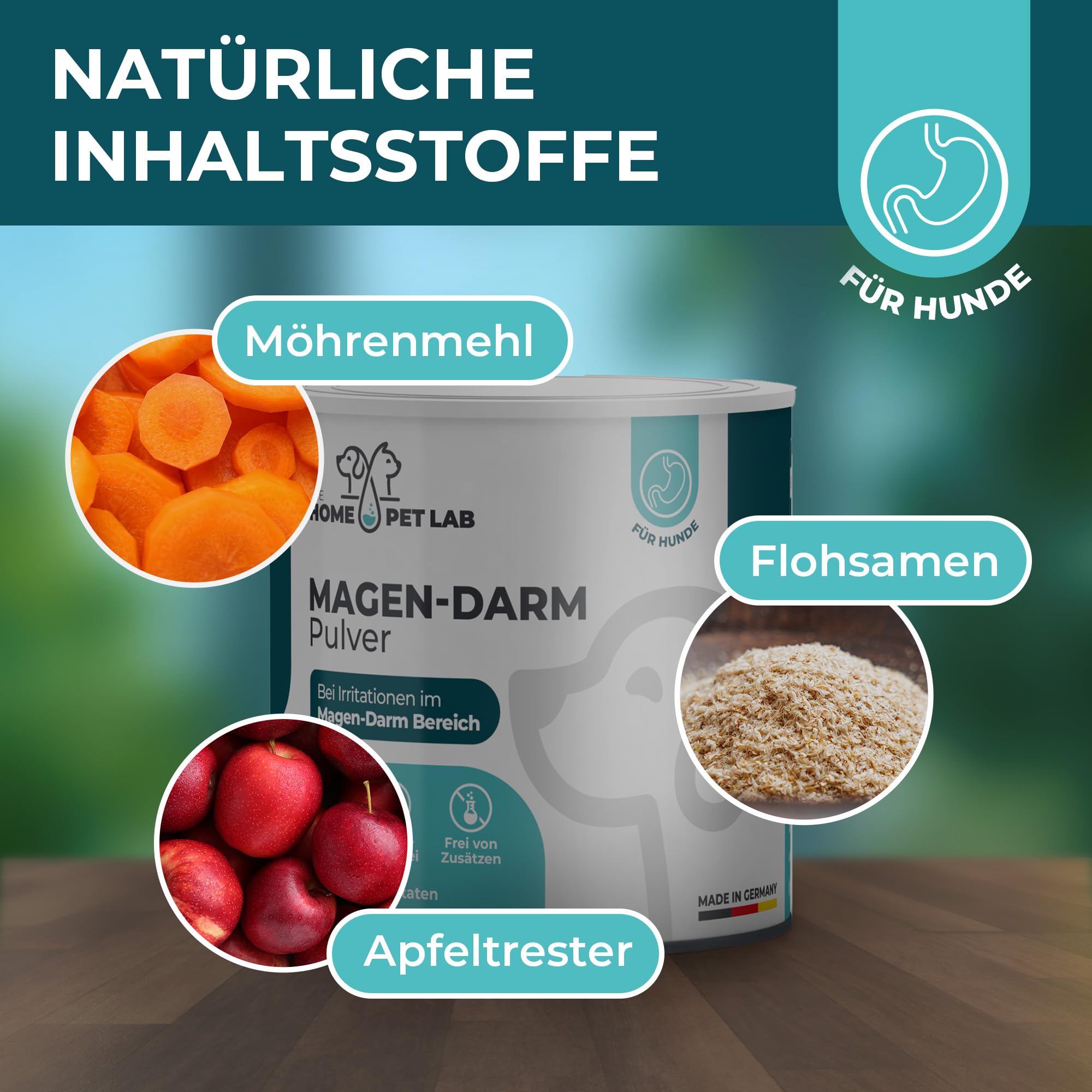 Magen-Darm Pulver für Hunde, 250g - Präbiotika & Probitika Hund zur Darmsanierung - Unterstützt bei Durchfall, Verdauung und dem Darmflora Aufbau - praktisch als Futtertopping - mit Flohsamenschalen