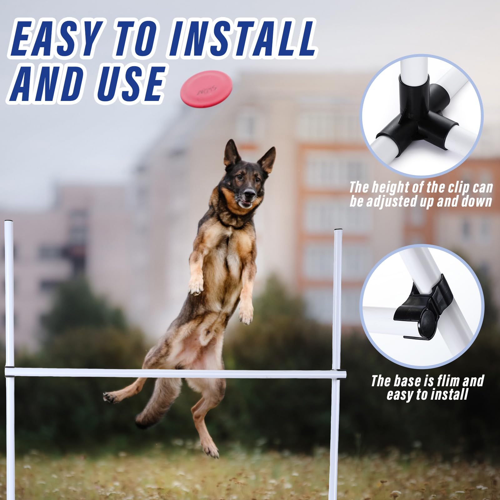 Dog Obstacle Course Backyard Dog Agility Training Equipment Dog