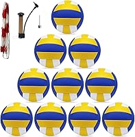 ZHUOKECE 10 Pack Official Size 5 Inflatable Volleyballs for Pool, Sand, Indoor - Soft Training with Pump & Mesh Bag