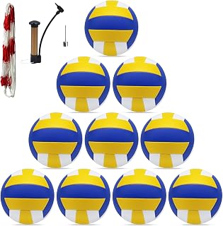 ZHUOKECE 10 Pack Official Size 5 Inflatable Volleyballs for Pool, Sand, Indoor - Soft Training with Pump & Mesh Bag