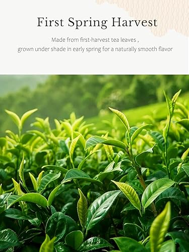 Miniatura 4 de Auténtico té verde matcha japonés en polvo, producto de Japón, primera cosecha, tradicionalmente molido a piedra, de Uji, Kioto (3.5 onzas)