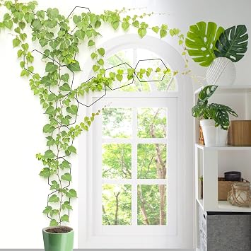 Chain Trellis for Climbing Plants Indoor 6.69 Inch Garden Trellis for Climbing Plants Metal Plant Supports Wall Trellis for Monstera, Pothos, Ivy, Roses Hexagonal Design Black 14 Pcs