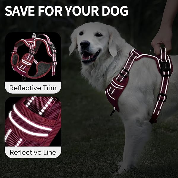 Visita lo Store di HEELE HEELE Pettorina Cane Taglia Media Riflettente Pettorina Addestramento Cani Anti Tiro con 2 Ganci in Metallo + Comodo Maniglia, Gilet per Cani Regolabile per Camminare, Rosso Borgogna, M in use