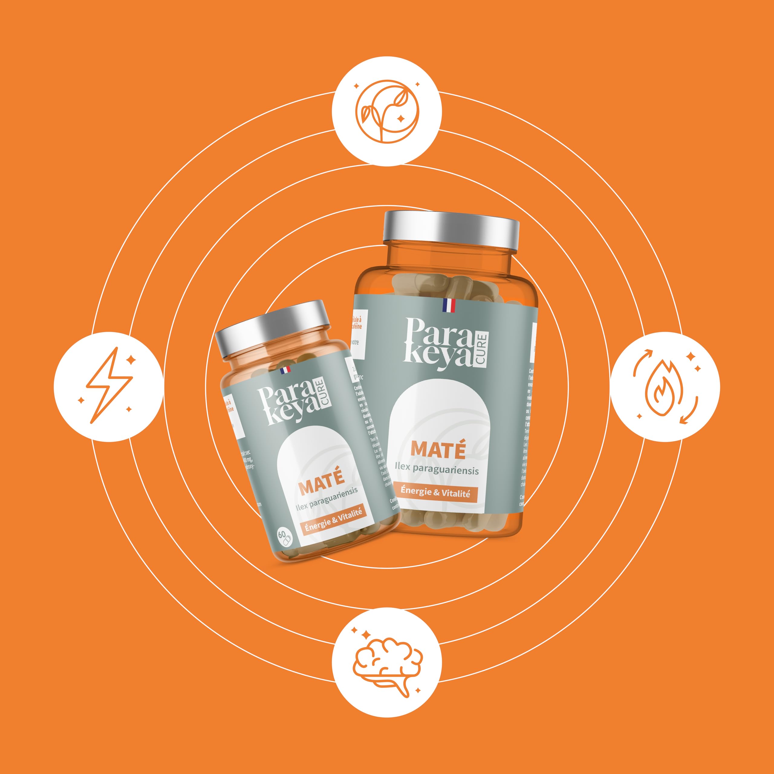 Maté |Energie & Vitalité |Complément alimentaire |180 Gélules