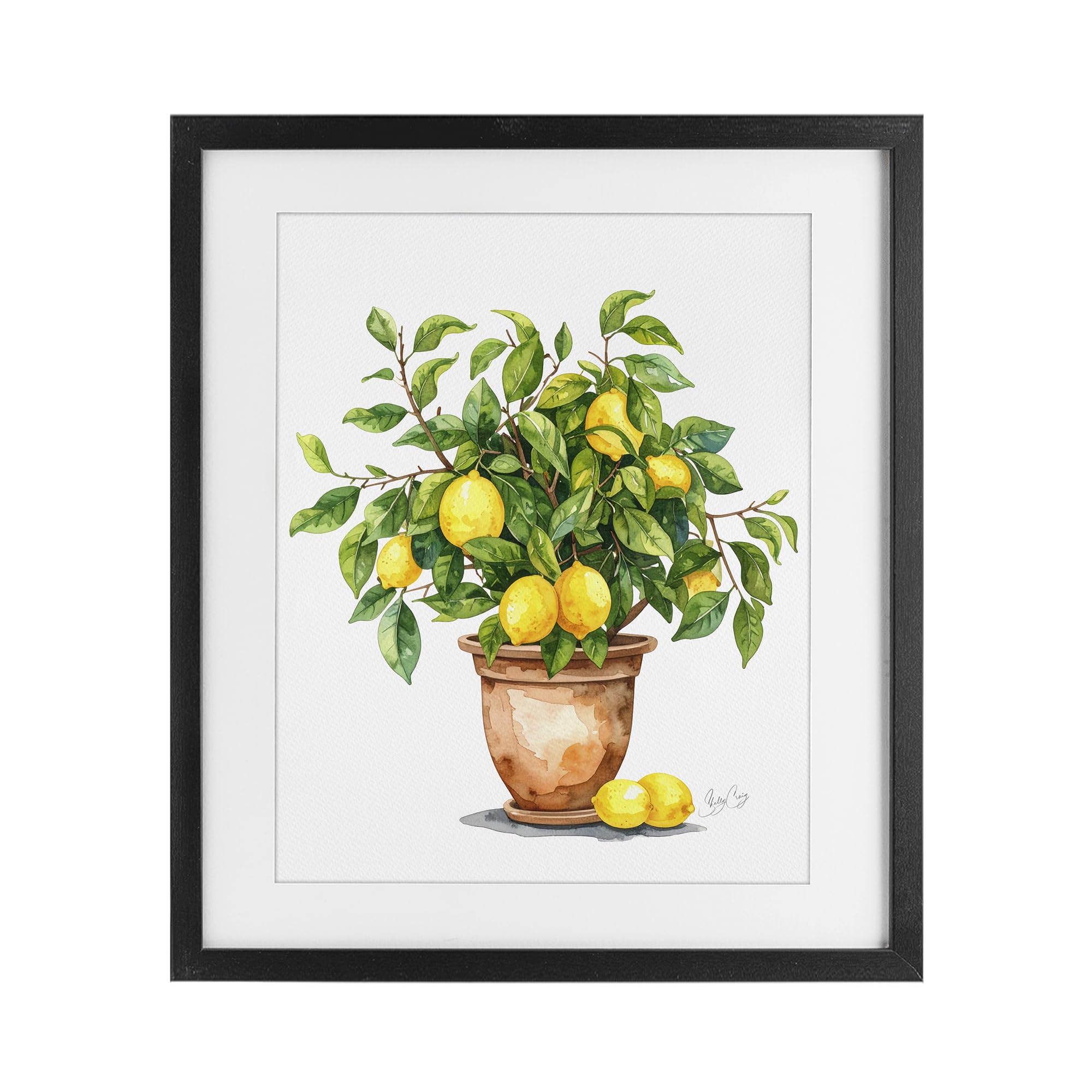 Potted Lemon Tree Botanical, 17 x 21 Inch Framed Print Under Glass