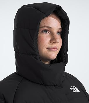 The North Face Kids North Down Hooded Jacket (Little Kid/Big Kid)