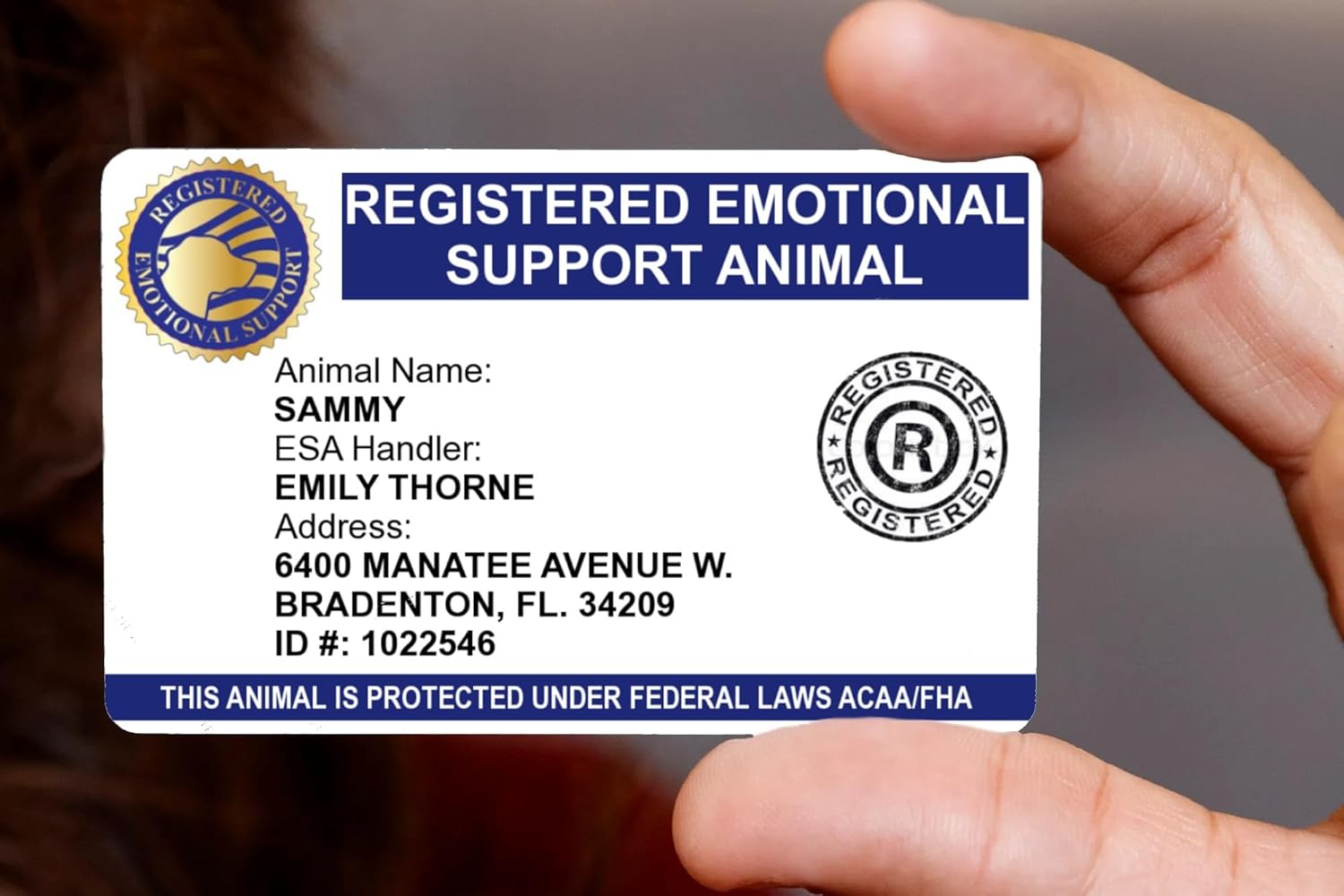 No Photo - Fast - Custom PVC Emotional Support Animal ID Card with Registration Mobile Device Digital ID Badge ESA Collar Tag Five ESA Informational Handout Cards